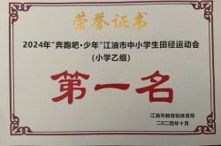 关于荣耀时刻，勇夺冠军的壮举征程的信息